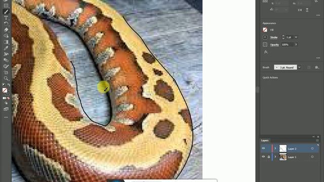 How to make a Blood Python line art with Illustrator смотреть онлайн