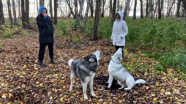 Ува + Юкка смотреть онлайн