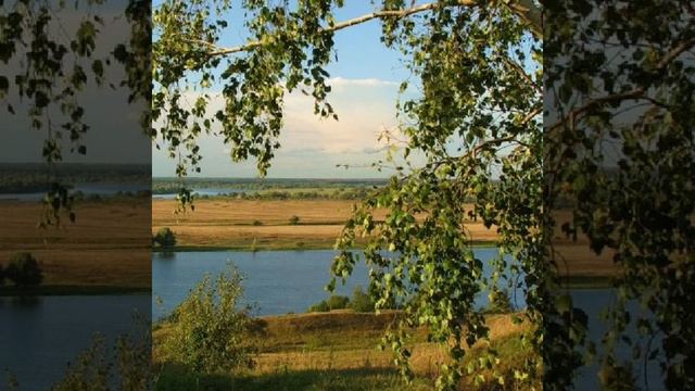 Шамиль Гарданов (Птичий рынок) смотреть онлайн