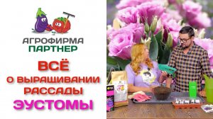 Все о выращивании рассады эустомы. Советы Марины Рыкалиной и Виталия Декабрева