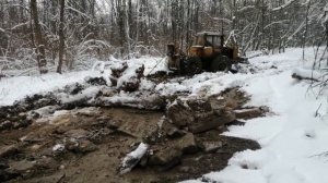 Трактор трелевочный LKT-81 за работой| как делают дорогу для лесовозов