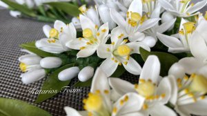 Флердоранж из фоамирана/ Orange blossom from foamiran