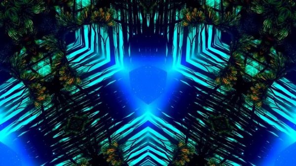 Mushroom Trip Experience (Trippy Video)