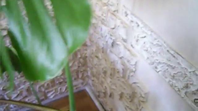 лепка.все своими руками.моя работа.