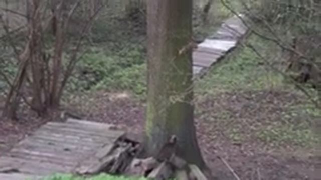 Охота на белок смотреть онлайн