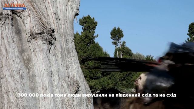 Які раси існують зараз? #географія смотреть онлайн
