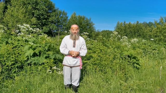 Благодарение Михаила Лапина 6 июня 2020 года. Стихотворение о кедре. смотреть онлайн