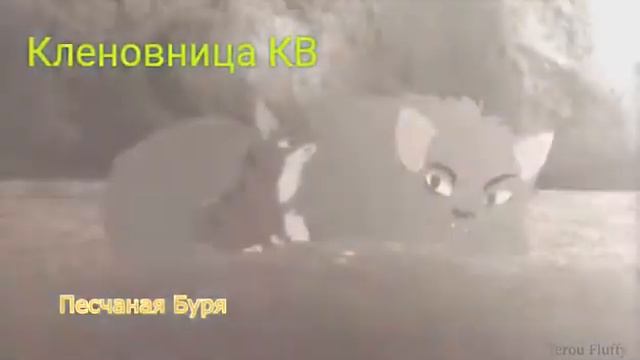 Коты-воители клип Щербатая заказ с канала какой-то слайм не помню смотреть онлайн