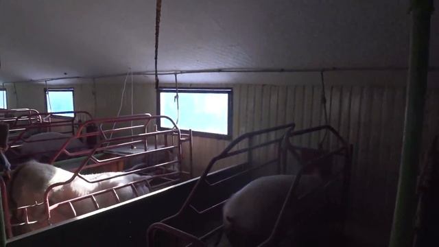 БОЛЬШИЕ ПОТЕРИ, ВЫЖИТЬ НЕ ПОЛУЧИЛОСЬ. смотреть онлайн