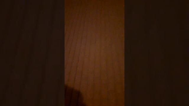 ПРОГУЛКА ПО ПИТЕРУ ПЕРЕД СНОМ смотреть онлайн