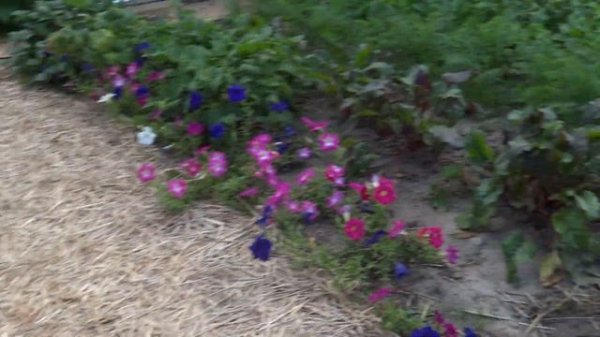 T T T T - TEA TIME TUESDAY TOUR