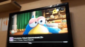 переключение каналов (Трмколор-ТВ, 4.7.2021) пакет "детский" (неудачный)