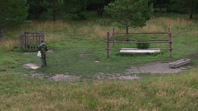Охота на кабана. Не стреляйте по свиньям! смотреть онлайн