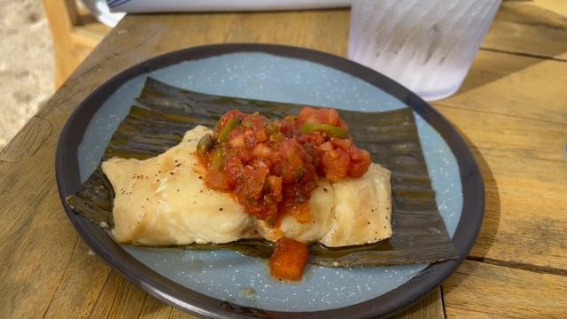 Bimini Bahamas Port Review - Virgin Voyages Beach Club, Shark Snorkeling, and More! смотреть онлайн