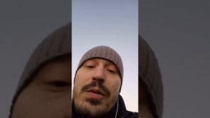 Муравьи с крыльями, что это? Кто они?