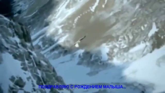 ПОЗДРАВЛЕНИЯ С РОЖДЕНИЕМ РЕБЁНКА смотреть онлайн