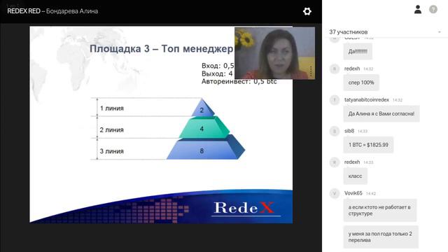 Презентация: Что такое RedeX смотреть онлайн