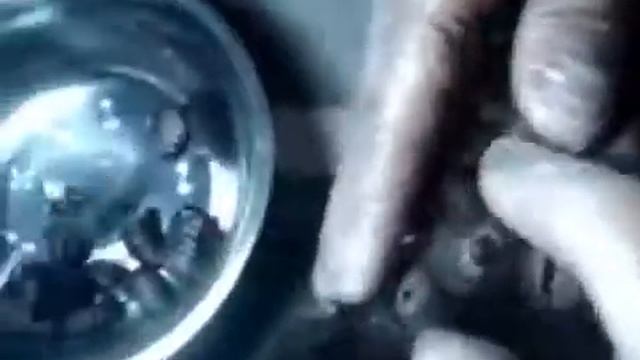 личинки овода! Beetles in the monkey смотреть онлайн