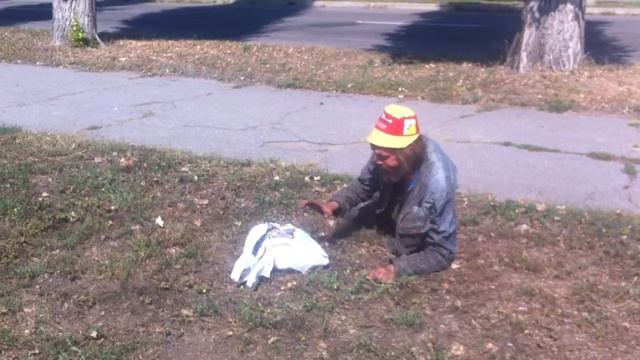 В траве сидел кузнечик (в мире животных) смотреть онлайн