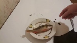 Живец не слетает с крючка.Надёжная фиксация живца.