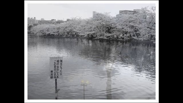 WHATEVER Photography: Tokyo April 2009 #1 [SONY DSC-W150] смотреть онлайн