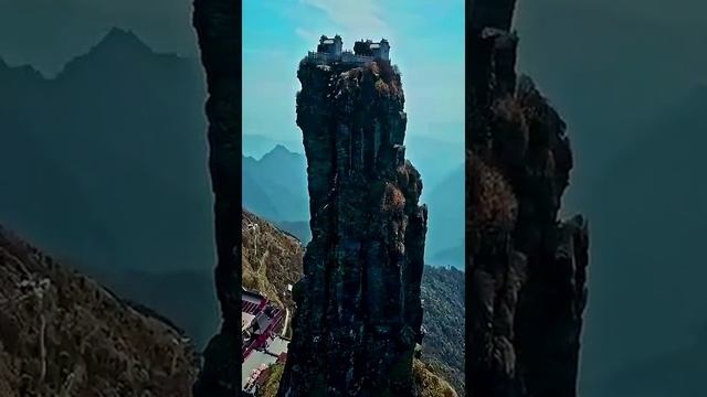 арасотище.mp4 смотреть онлайн