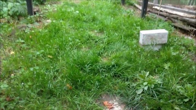 Эстакада в деревню. Часть 2..wmv смотреть онлайн