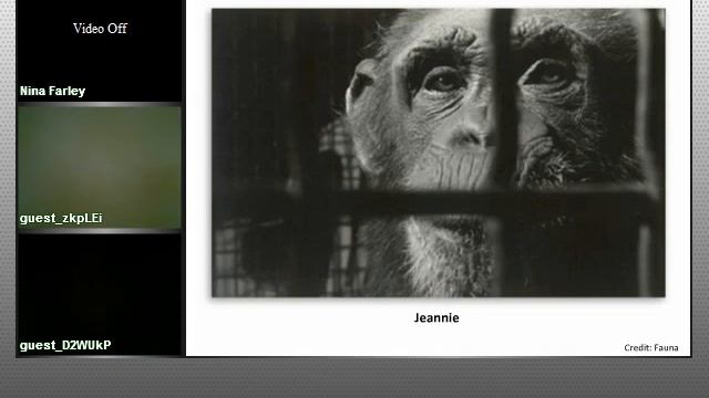 Enforcing the CHIMP Act: The Case for Criteria to Retire Chimpanzees in Labs to Sanctuary смотреть онлайн