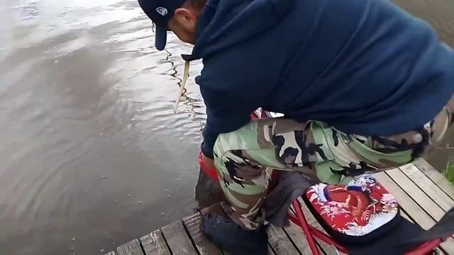 23 июля 2020 г. смотреть онлайн
