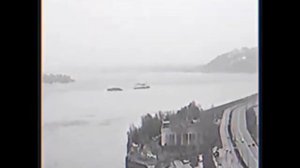 svidetelstvo o smerti — s o b a k e s o b a c h y a s m e r t '