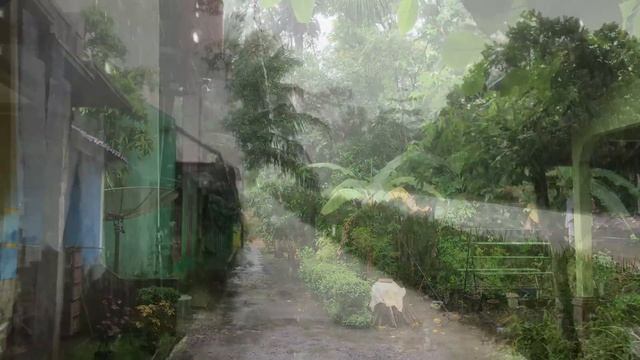 [4K] Heavy Rain Falls on Green and Cool Village | ASMR Walk in the Countryside During Heavy Rain смотреть онлайн