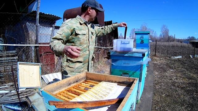 Щавелевая кислота и глицерин. Ставим полоски в улей. Профилактика варроатоза смотреть онлайн