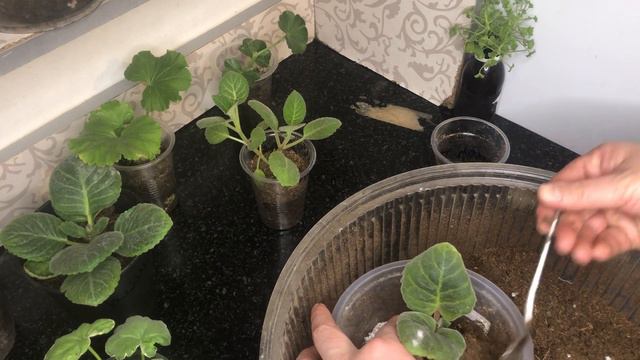 Кочотторду туура идишке которуу жолу.Комментарийдеги суроолорго жооп! смотреть онлайн