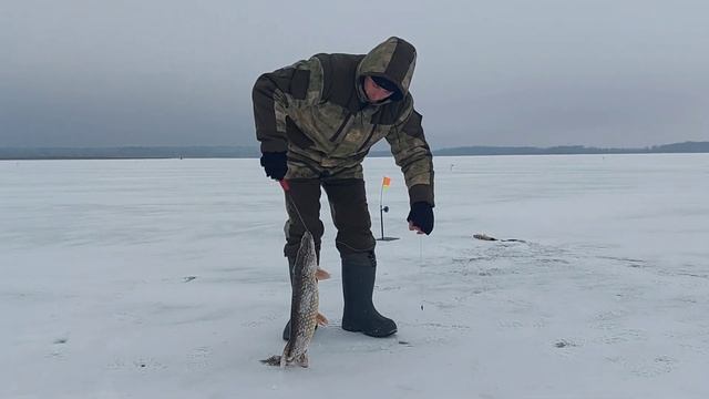 Зимняя рыбалка в Беларуси 2021-2022 . Ловля щуки на Краснослободском водохранилище ...... смотреть онлайн