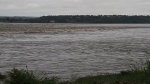 Самые Опасные Рыбы в Мире!Самые Страшные Существа Морей и Океанов