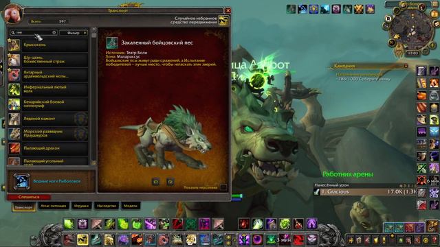 Гайд на маунта Закалённый Бойцовский Пёс World of warcraft смотреть онлайн