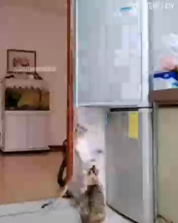 пушистая ОПГ смотреть онлайн