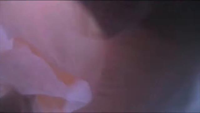 улов на волге смотреть онлайн