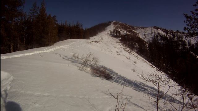 Крака. По следам косого зайца смотреть онлайн