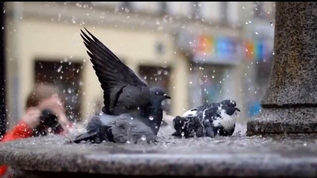 Весенним утром!-Петр Сергеев