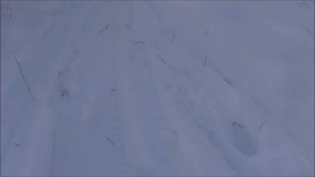 Меня нашли по следам.Проверили что я делаю в лесу. Иду по следам снегохода )) смотреть онлайн