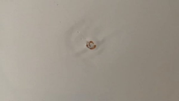 Приемка квартиры в ЖК Аквилон Парк с предчистовой отделкой WHITEBOX от Застройщика Аквилон