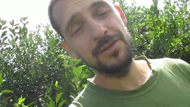 Органическое ЗЕМЛЕДЕЛИЕ В СИБИРИ. По стопам Фукуоки и Хольцера. Опыт огородничества смотреть онлайн