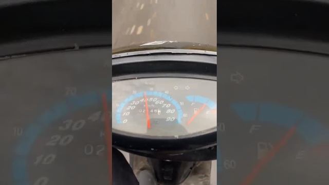 Gryphon sting 50 смотреть онлайн