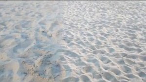 Коп на пляже . Чистим весь пляж .