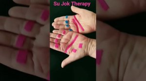 Как снизить высокий сахар и похудеть  #суджок