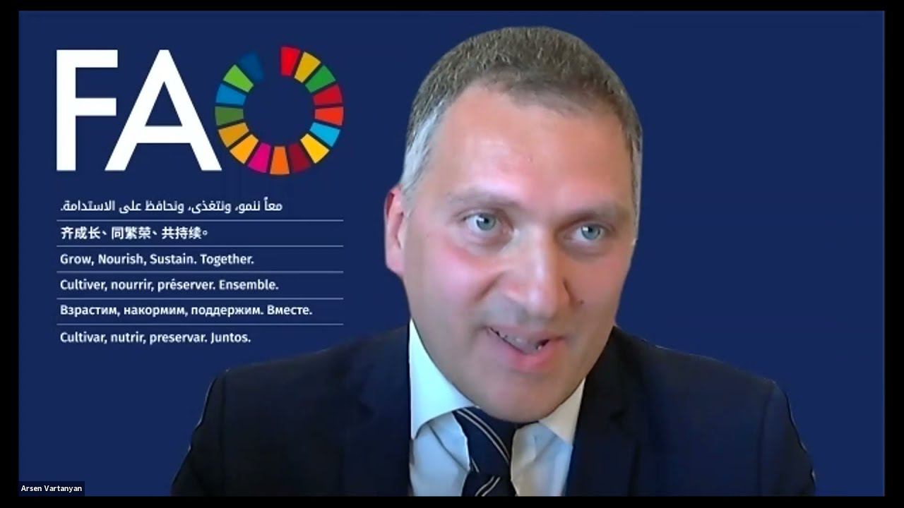 Роль и интересы бизнеса в достижении ЦУР до 2030: на примере агропродовольственной системы России смотреть онлайн