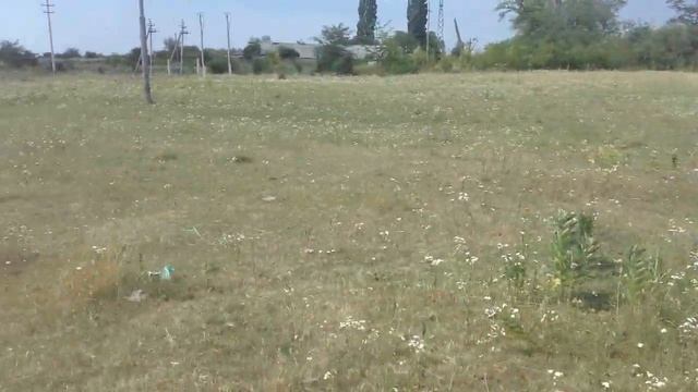 Стресс: Путь к Внутреннему Миру