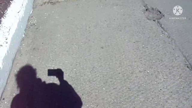 один из дней Доши :3 ( очень много болтовни) смотреть онлайн