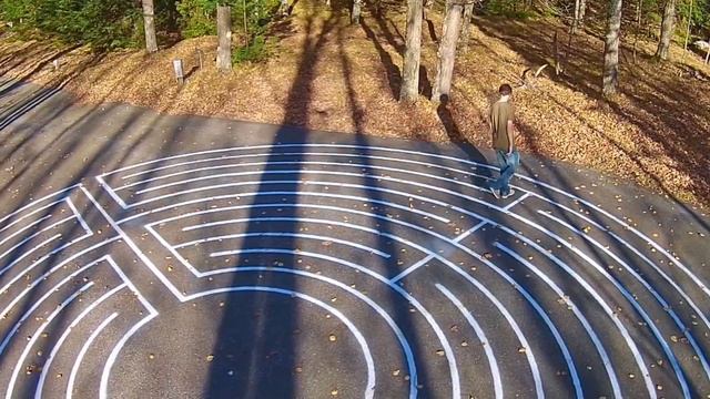 Labyrinth of the Limberlost смотреть онлайн